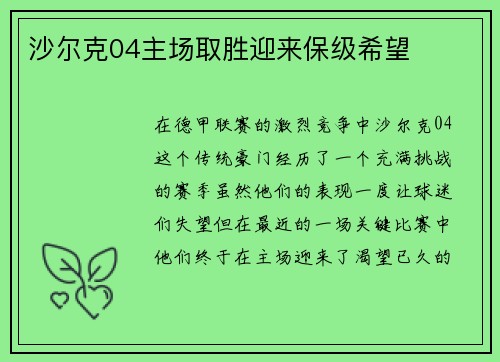 沙尔克04主场取胜迎来保级希望